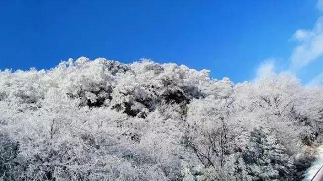 次元喵