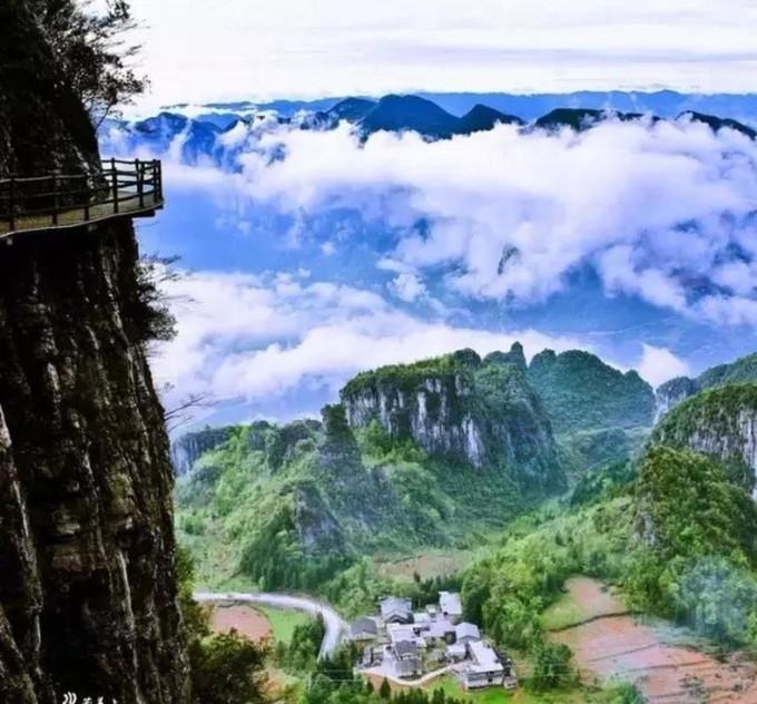 逃离仿真森林