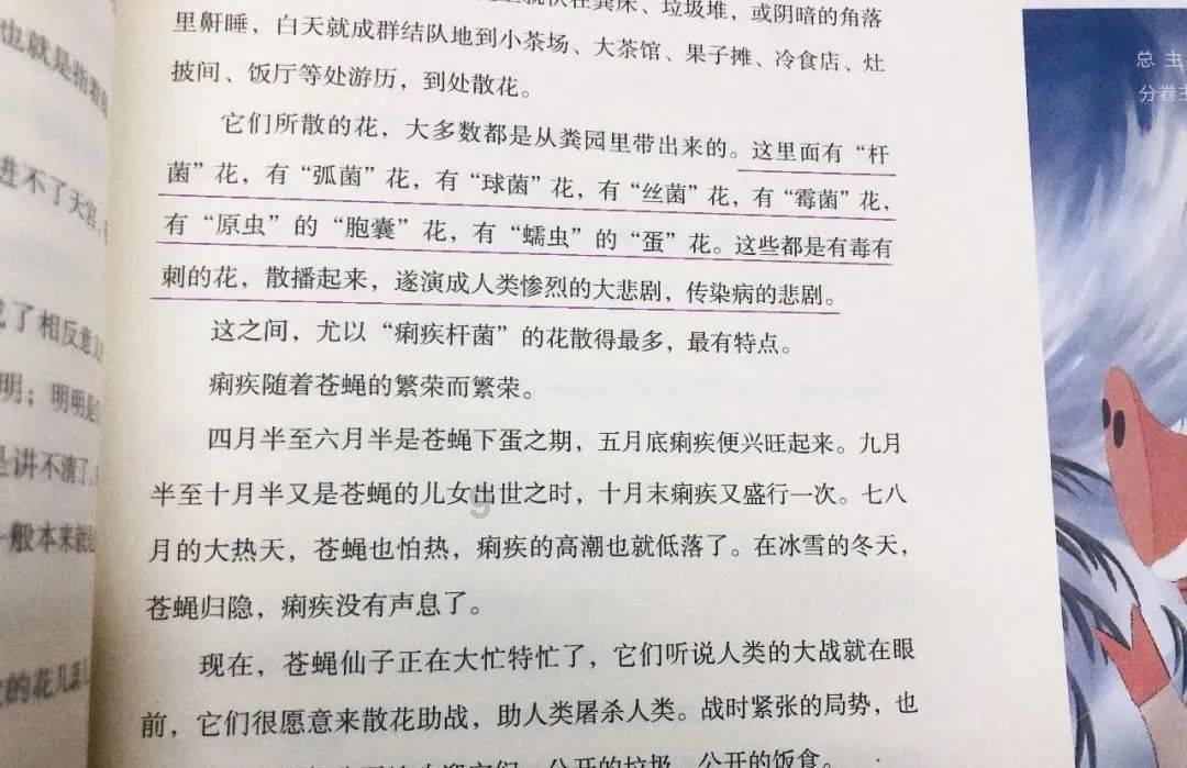 帽子时尚